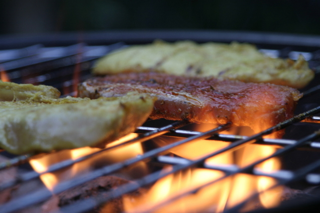 bbq-1560180-639x426