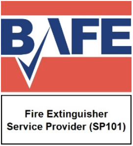 BAFE SP101