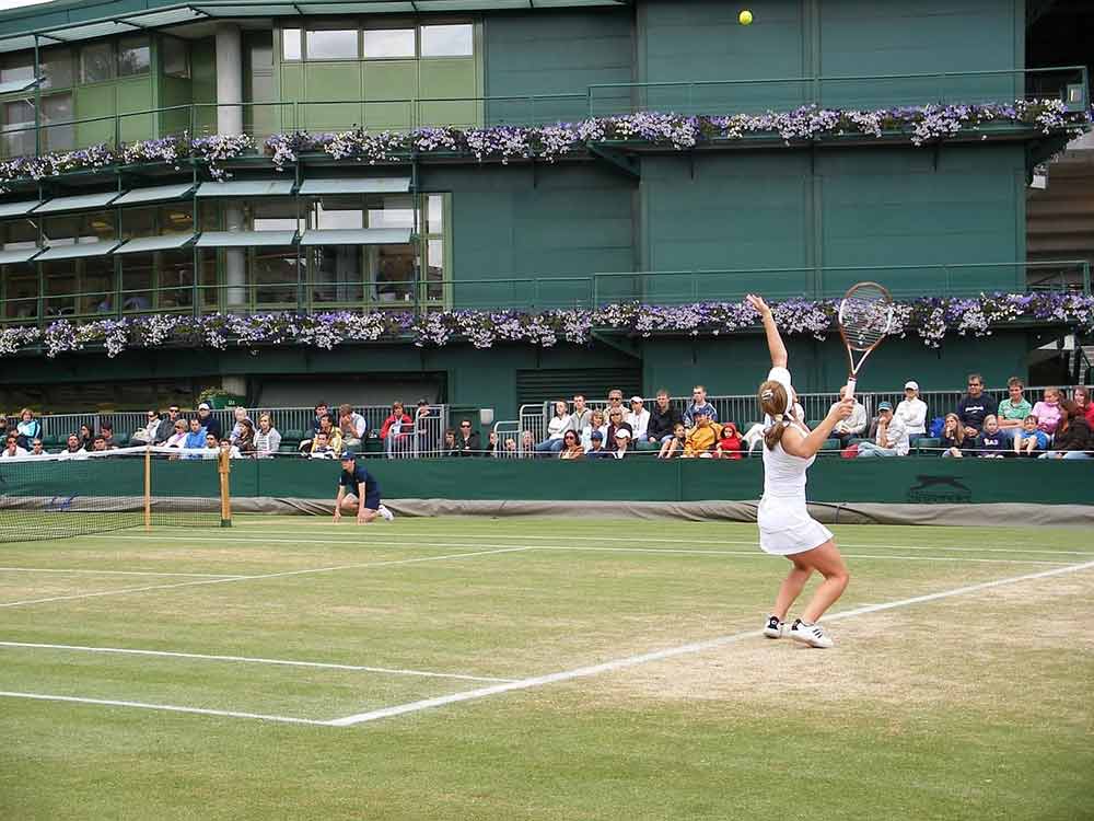 wimbledon fire protection services